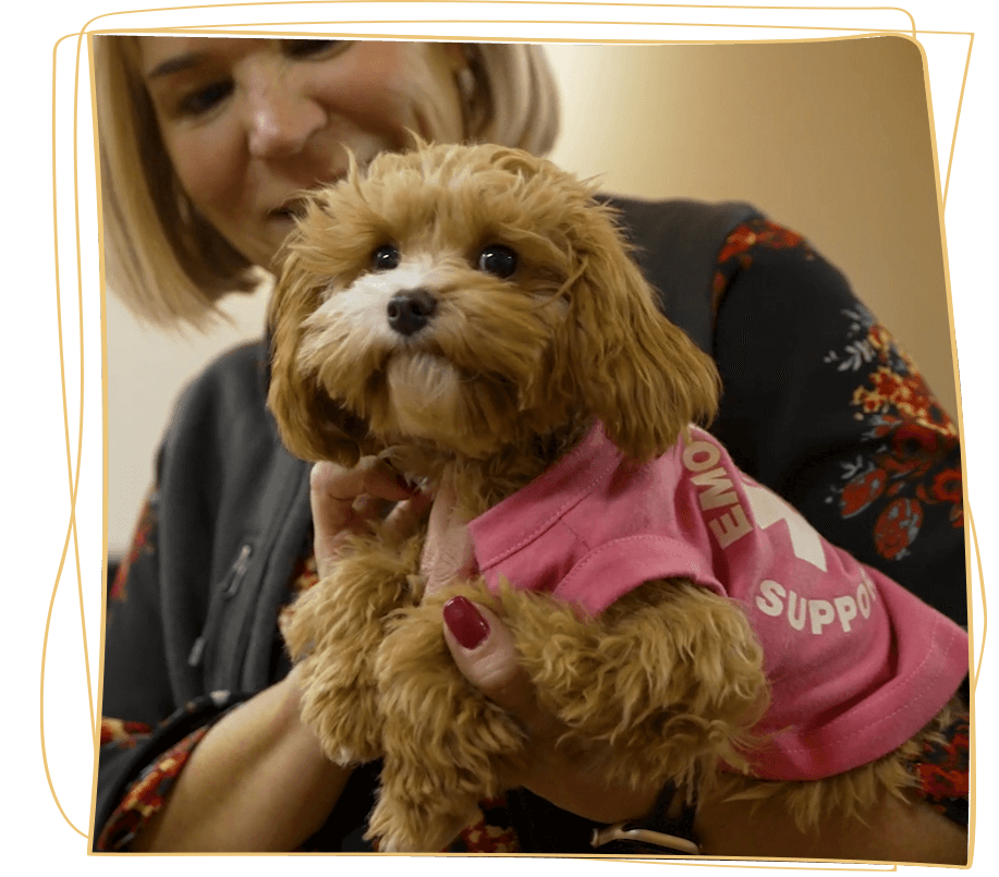 reba sedation companion office dog